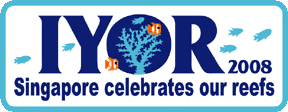 iyorsp4