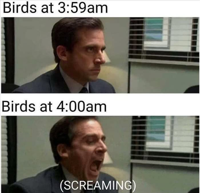 dailyhaha funny pictures