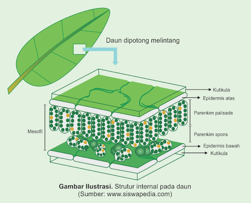 Gambar