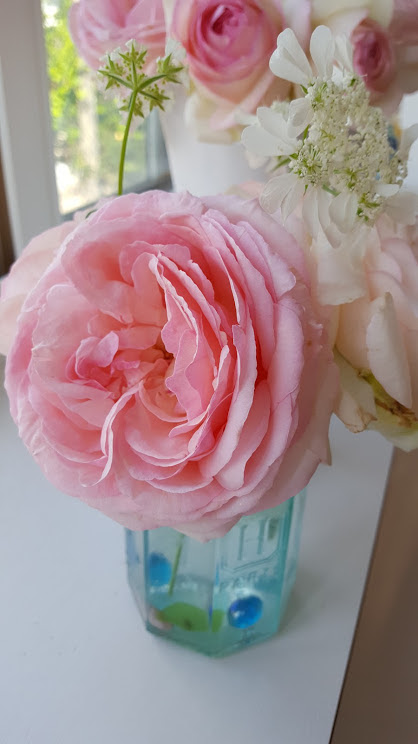 庭のバラの飾り方 花瓶の代わりに使えるもの 家にあるものなんでもok 花づくし 色々なお花を楽しみつくします