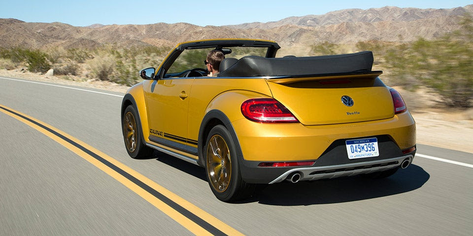 Beetle-Dune-16
