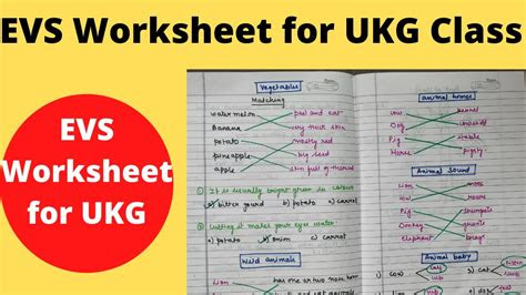  worksheet for ukg evs worksheets for ukg maths english evs hindi free