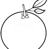 How to Draw Orange, Fruits