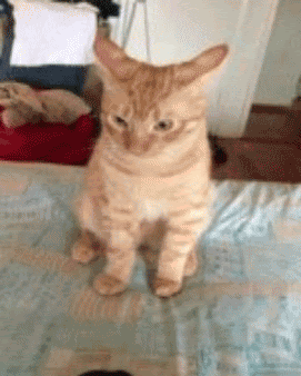 random interesting images funny wtf win fail
