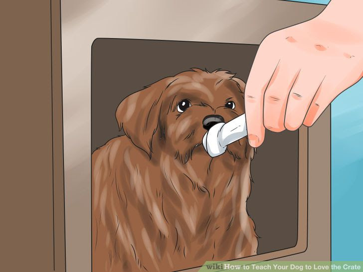Teach Your Dog to Love the Crate Step 25.jpg