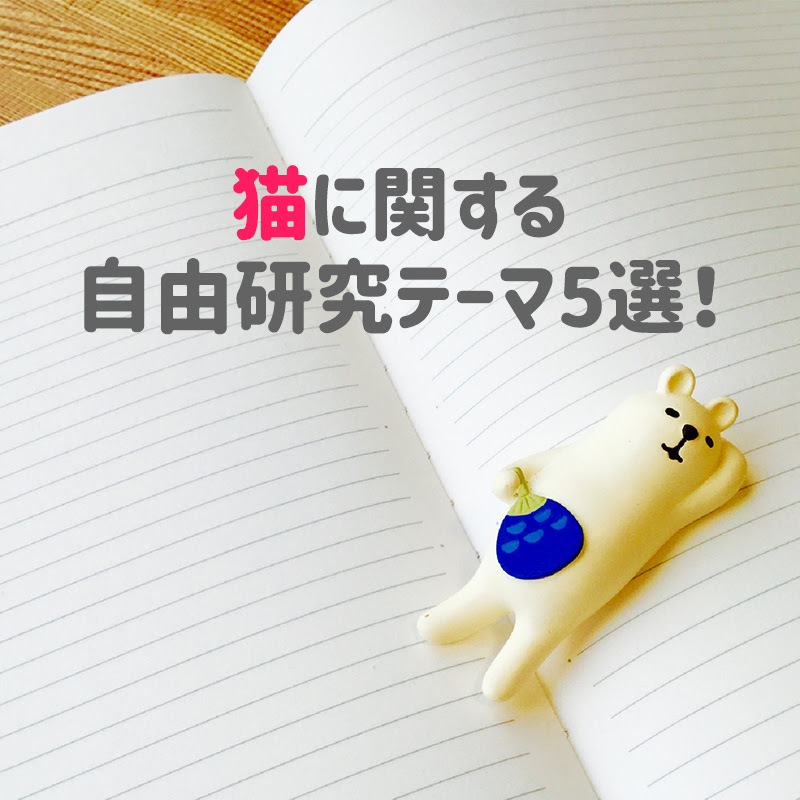 猫に関する自由研究テーマ5選 小学生 中学生の夏休みの宿題でやってみよう