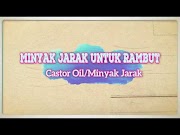 Terupdate Minyak Jarak Untuk Rambut Castor Oil Minyak Jarak Wa , Terupdate!
