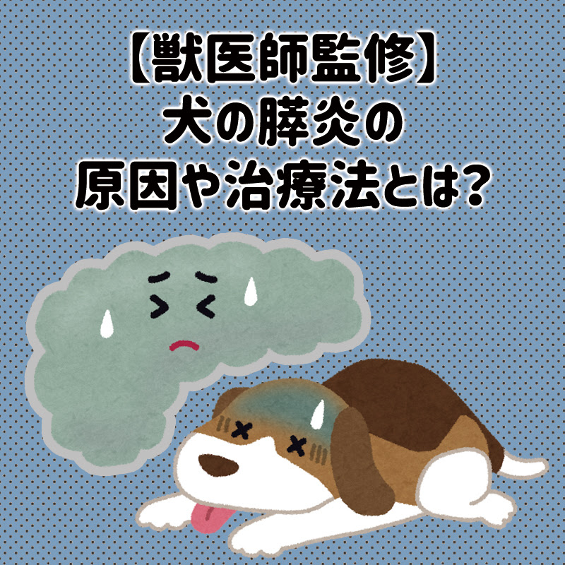犬の 伸び はサインの一つ どんな理由が隠れているの