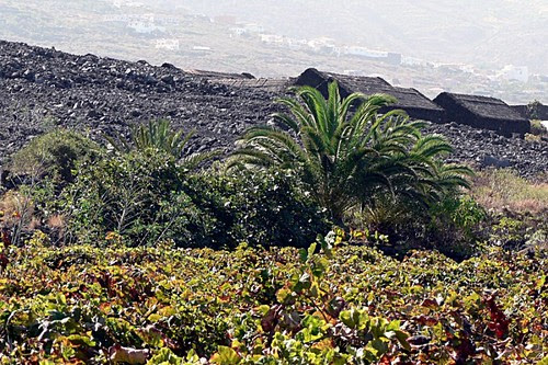 P1040090_b