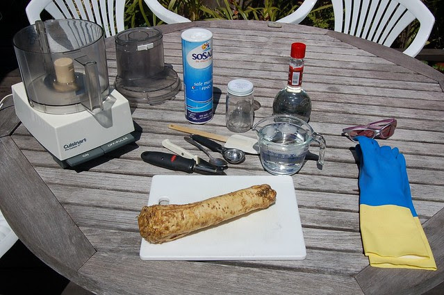 My set up for making fresh horseradish sauce