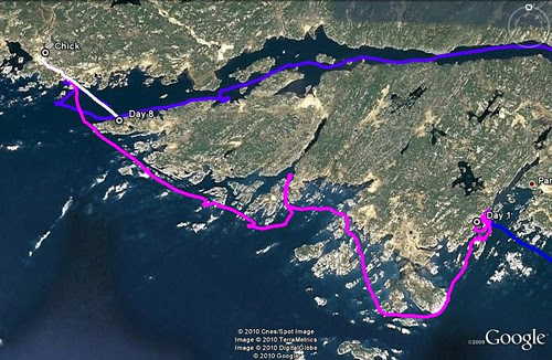 Day One (Purple)