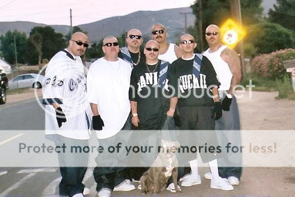 Cholos Of Cholos