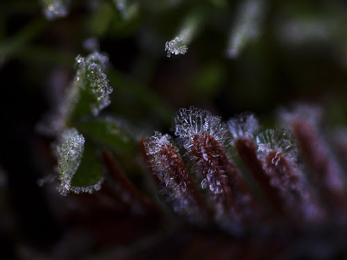 _0301065