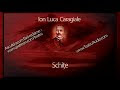 Schite De Ion Luca Caragiale Rezumat