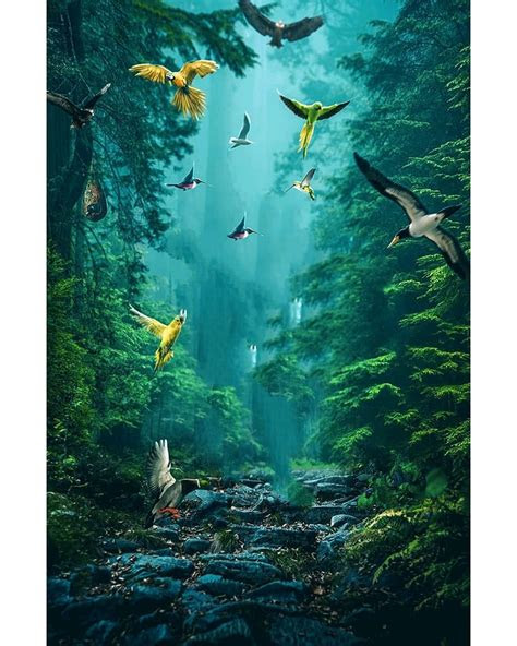 picsart save birds photo editing nature photo editing