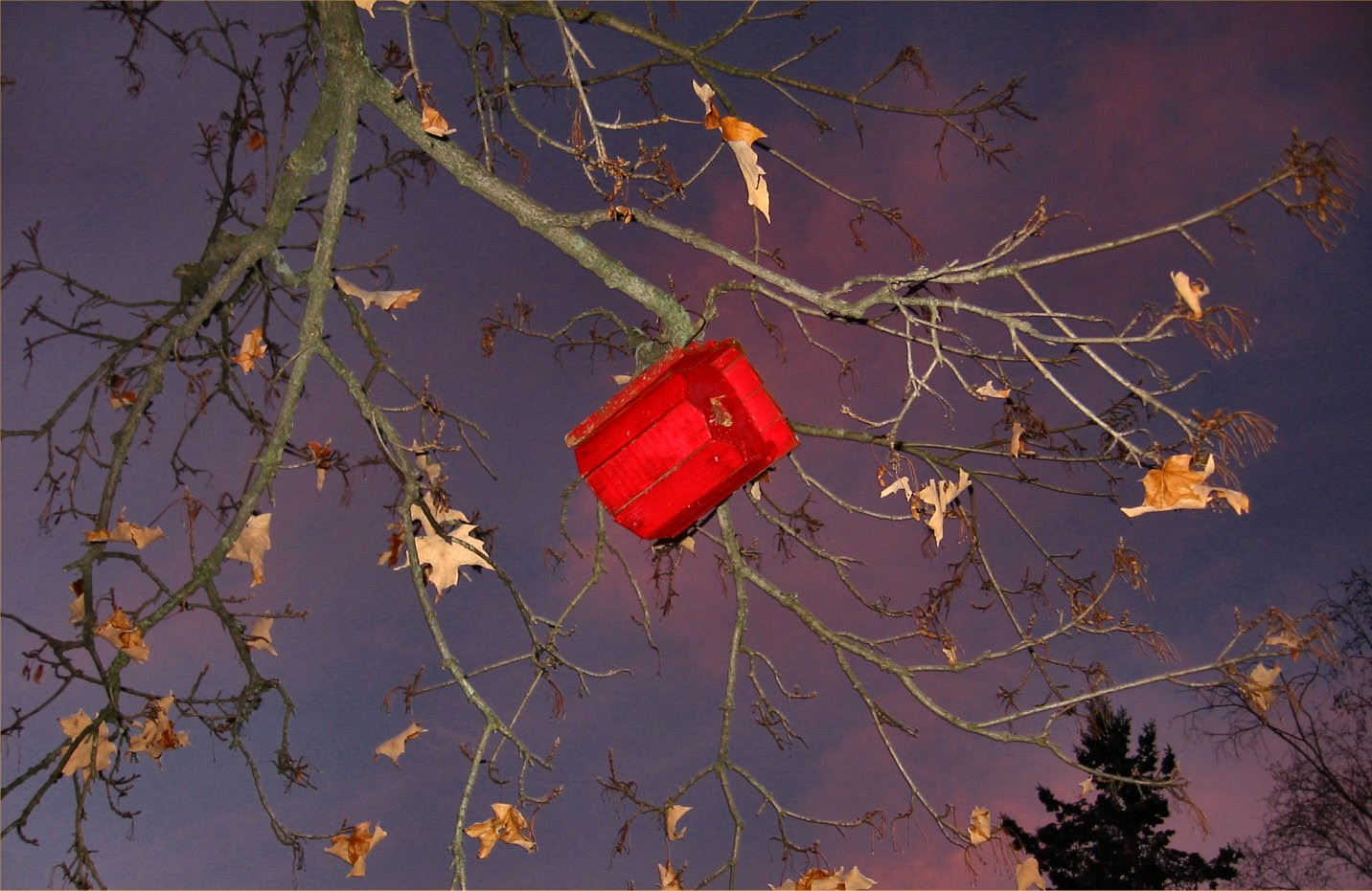 Red Bird House at Sunset - Wiconsin Autumn Photo - soul-amp.com