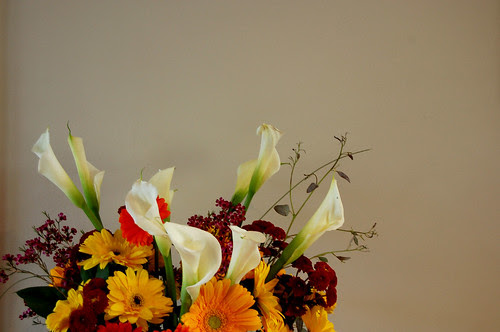 flower tops