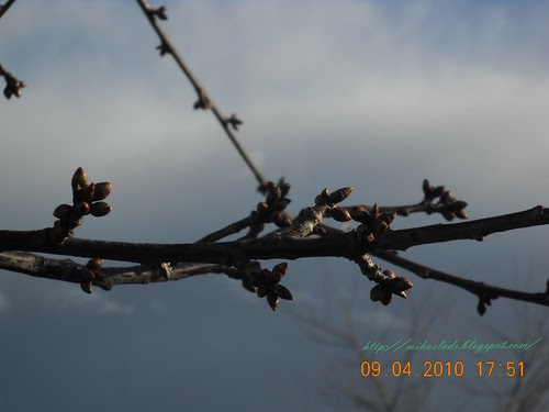 DSCN4658