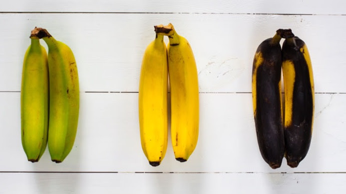 Quando E Seguro Comer Pao Queijo E Outros Alimentos Mofados Bbc News Brasil