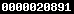 hidden hit counter