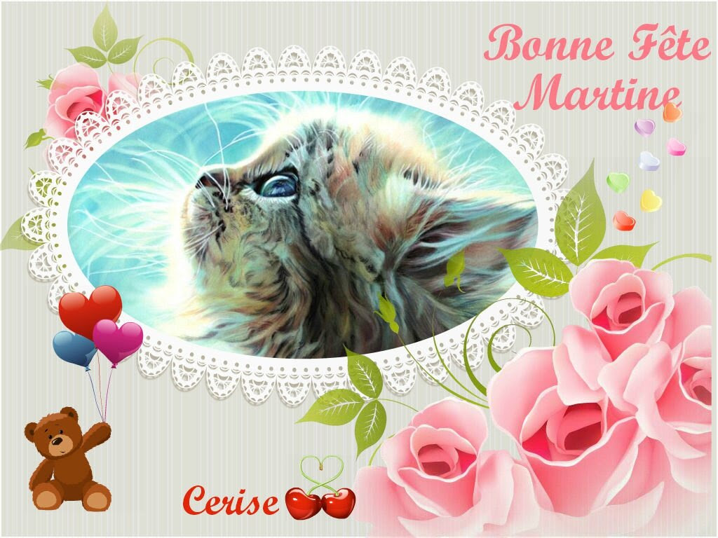 Carte Bon Anniversaire Martine Clarence Willetta