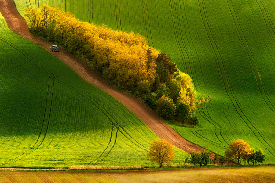 500px favs, rg443