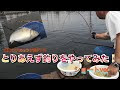 [最も好ましい] 東レ 釣り竿 134083-東レ カーボン 釣り竿