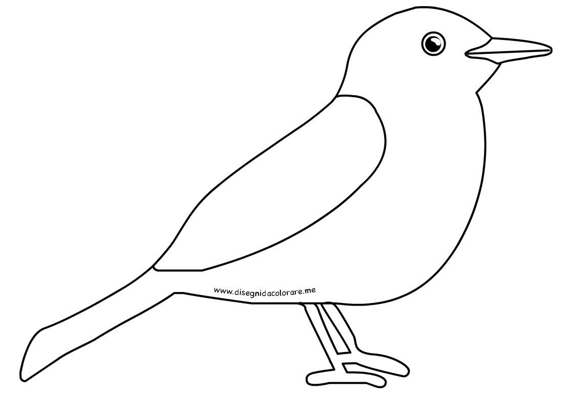 Disegno merlo da colorare