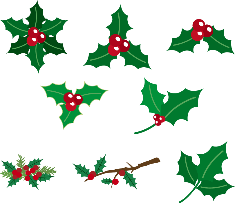 フリーイラスト 8種類のセイヨウヒイラギのセットでアハ体験 Gahag 著作権フリー写真 イラスト素材集