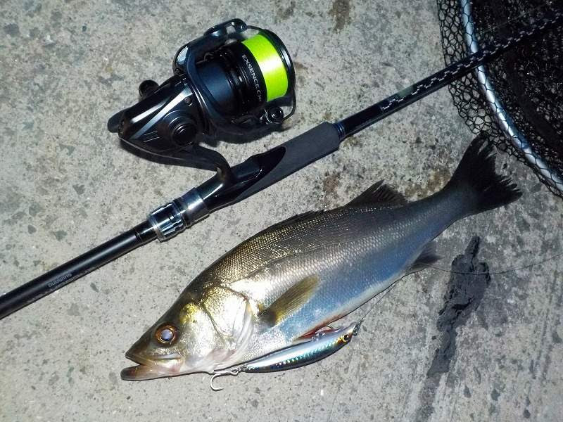 シーバス 春のパターン３月４月５月の釣り方やルアー選びのコツ シーバスラボラトリー2nd