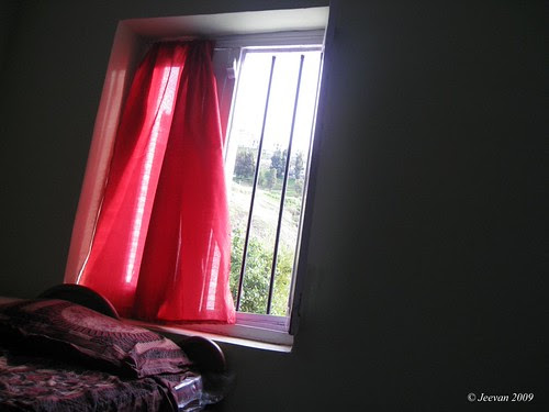 looking for princess