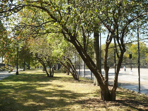 juniper valley park middle village queens