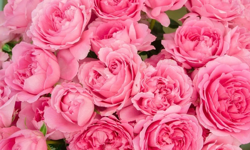 春だからこそオシャレに開運 春色をファッションに取入れると幸運体質になれる ウラスピナビ