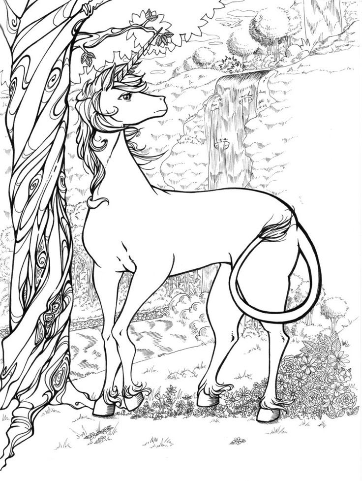 Realistic unicorn coloring pages download and print for free