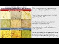 stool color chart effy moom - types of poop what doctors need you to know the healthy | different color stool chart