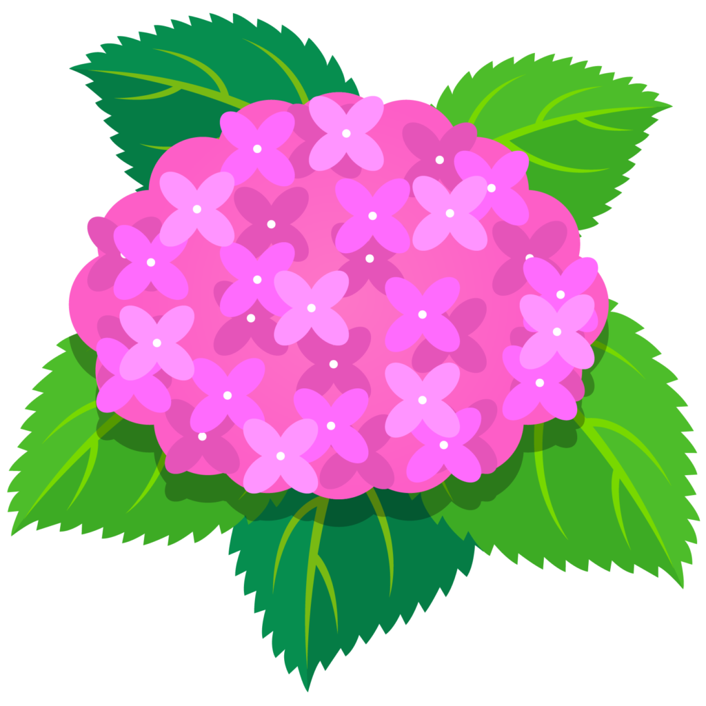 商用フリー 無料イラスト あじさいの花 紫陽花 ピンク Ajisai02 商用ok フリー素材集 ナイスなイラスト