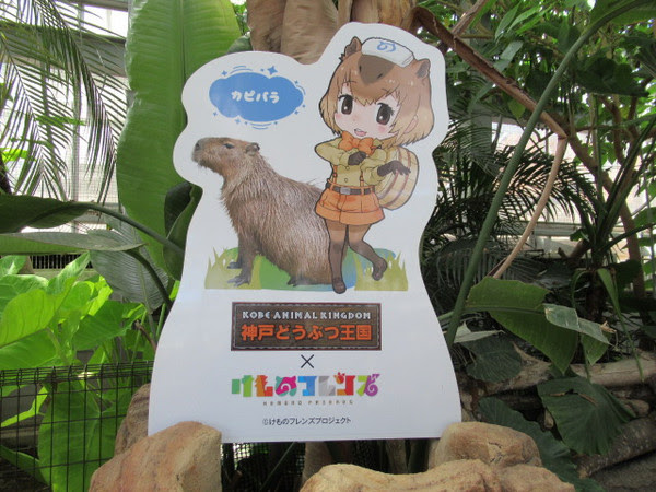 けものフレンズ ボッチ弾平の孤独な日常