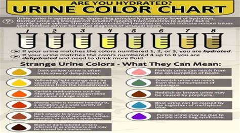  know more about your health through urine inminutes magazine liver