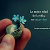 Las Edades De La Vida: Relatos Para El Alma