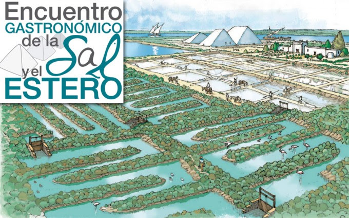 Encuentro de la Sal y del Estero