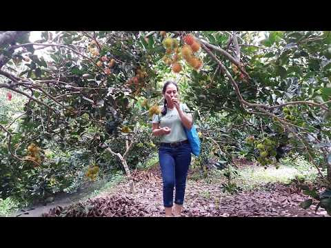 Hợp tác với Hoa sen châu á tourism có gì hay ?