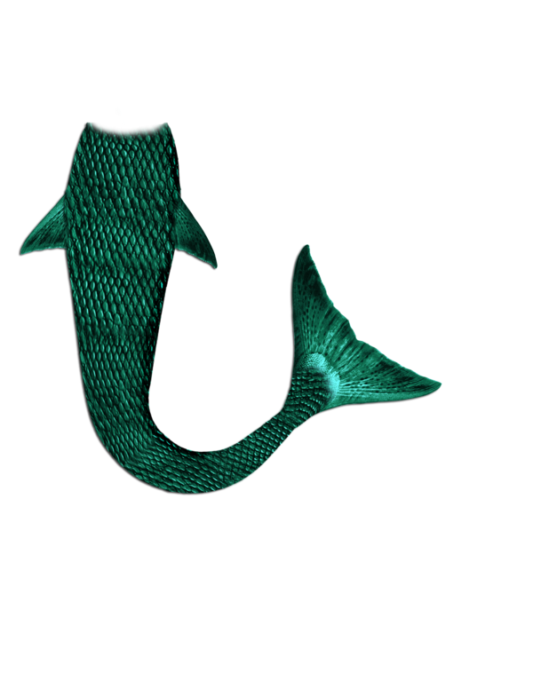 Mermaid Tail PNG Transparent Mermaid Tail.PNG Images. | PlusPNG