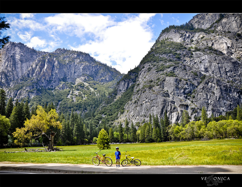 Day 2 -- Yosemite's Meadow