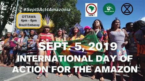 fires   amazon ottawa action  brazil embassy kairos canada