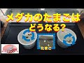 √70以上 サカマキガイ メダカ 共存 281188-サカマキガイ メダカ 共存