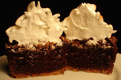 Chocolate Graham Cracker Cupcakes with Toasted Marshmallow