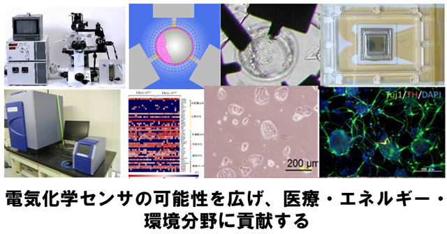 電気化学分野 応用化学専攻 大学院 東北大学 大学院工学研究科 工学部 化学 バイオ系
