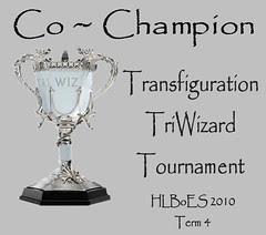 Tri-Wizard Tournament Winner