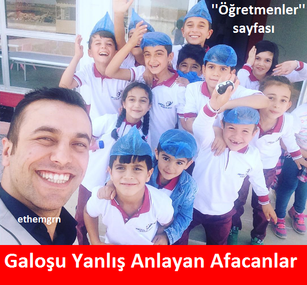 14370163_1759352134327779_680281647623146972_n