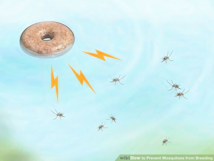 Prevent Mosquitoes from Breeding Step 14.jpg